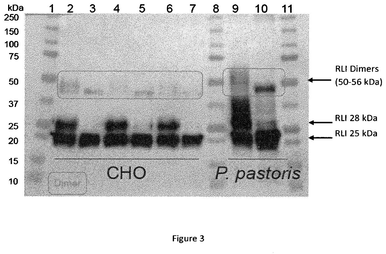 Il-15/il-15ralpha based conjugates purification method