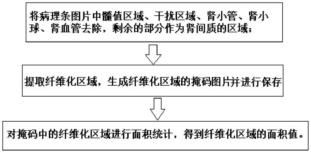 Auxiliary evaluation method for renal interstitial fibrosis, computer equipment and computer readable storage medium