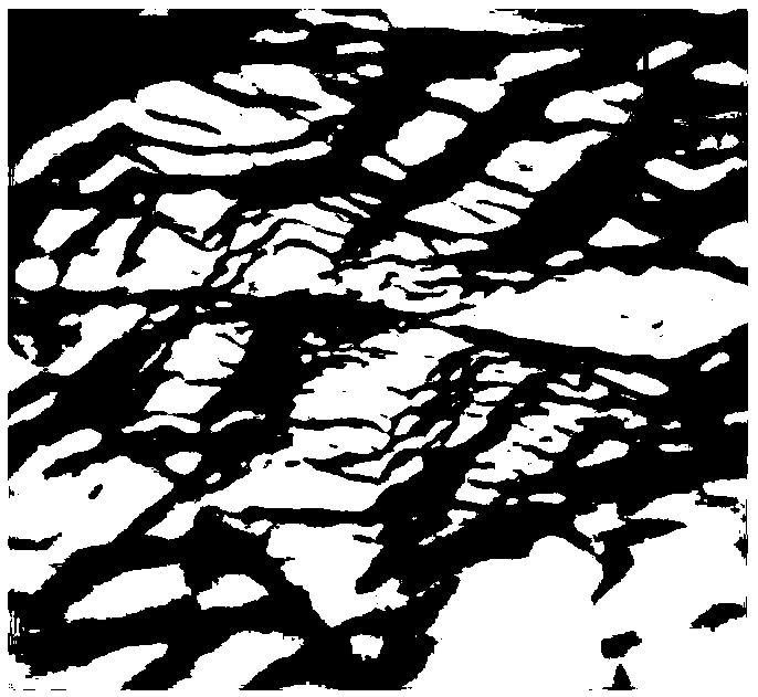 OpenFOAM-based method for simulating complex terrain surface roughness