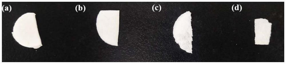 Porous hydrogel sponge as well as preparation method and application thereof