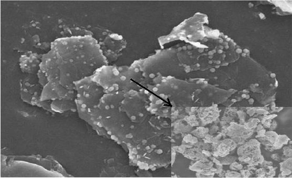 Porous graphite and porous silicon composite negative electrode material and preparation method and application thereof