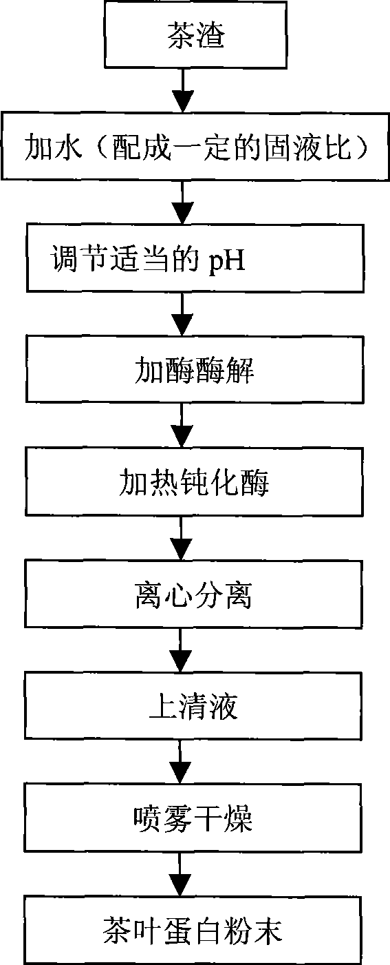 Double-enzyme extraction method of tea protein