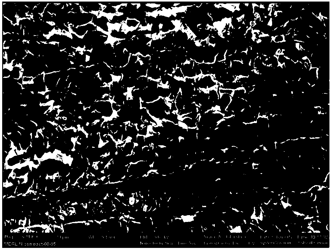 Electrochemical oxidation device for removing chloride ions in water