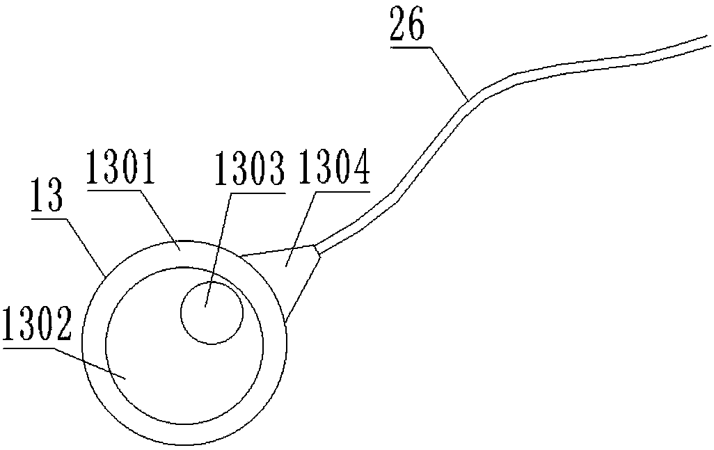 Multifunctional endoscope device applied to enteroscopy