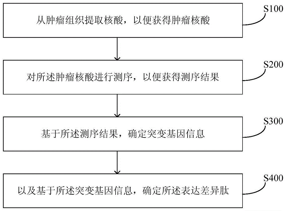 Method and equipment for neoantigen epitope prediction