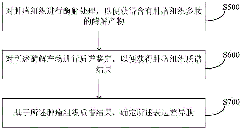 Method and equipment for neoantigen epitope prediction