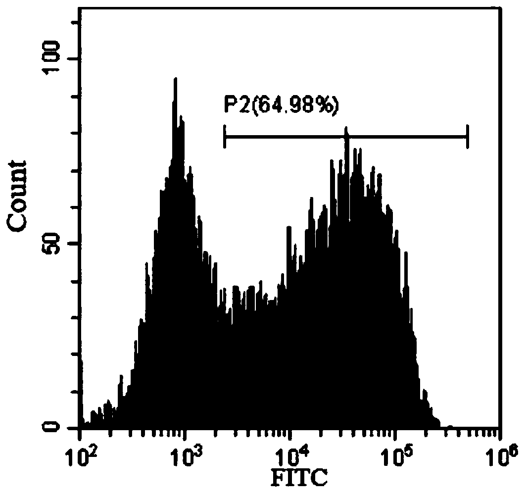 Chimeric antigen receptor targeting GPC3 and application of chimeric antigen receptor