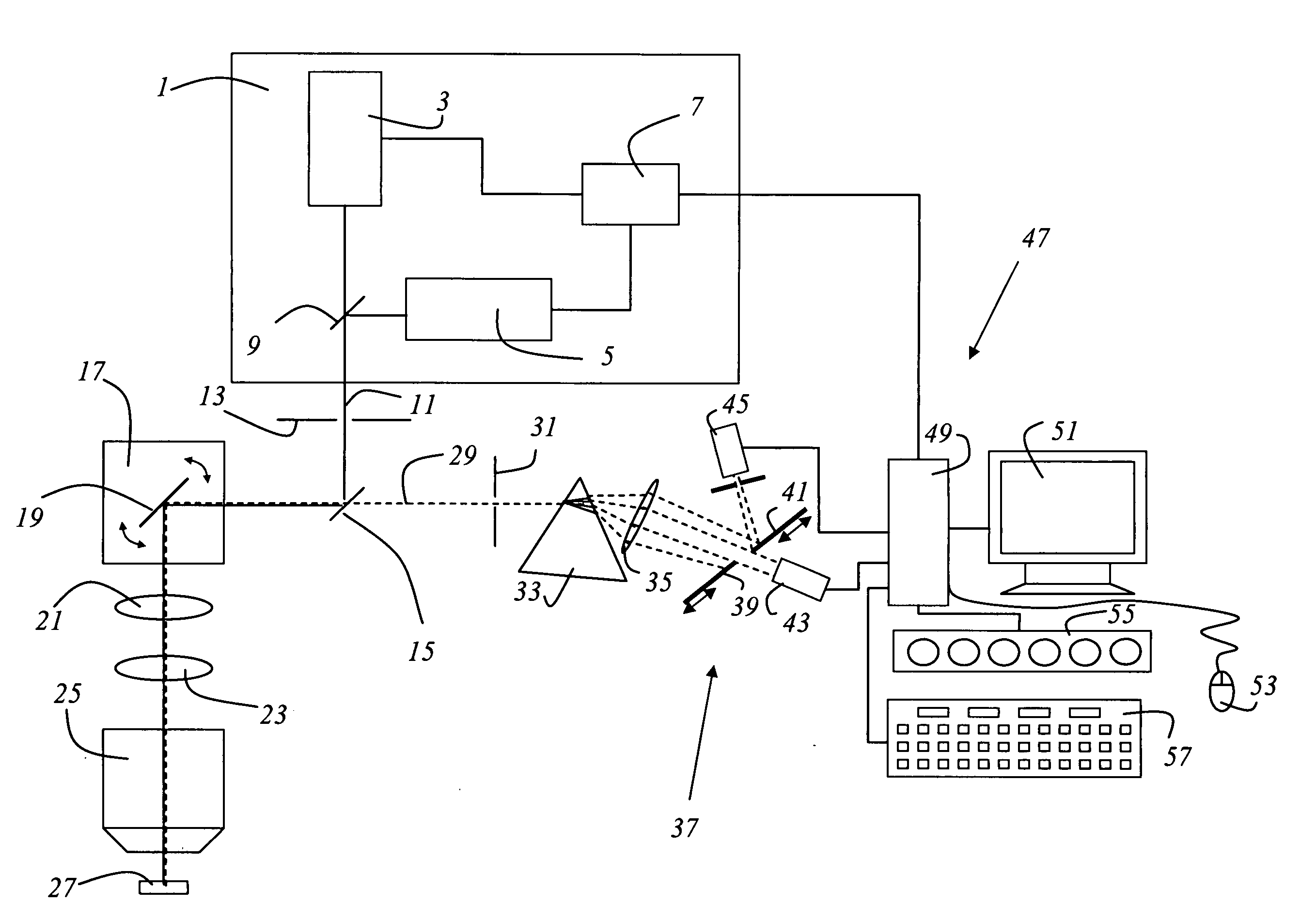 Microscope for investigating the lifetime of excited states in a sample