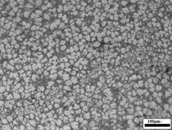 A method for obtaining fine primary α-al equiaxed grains in zinc-aluminum alloys