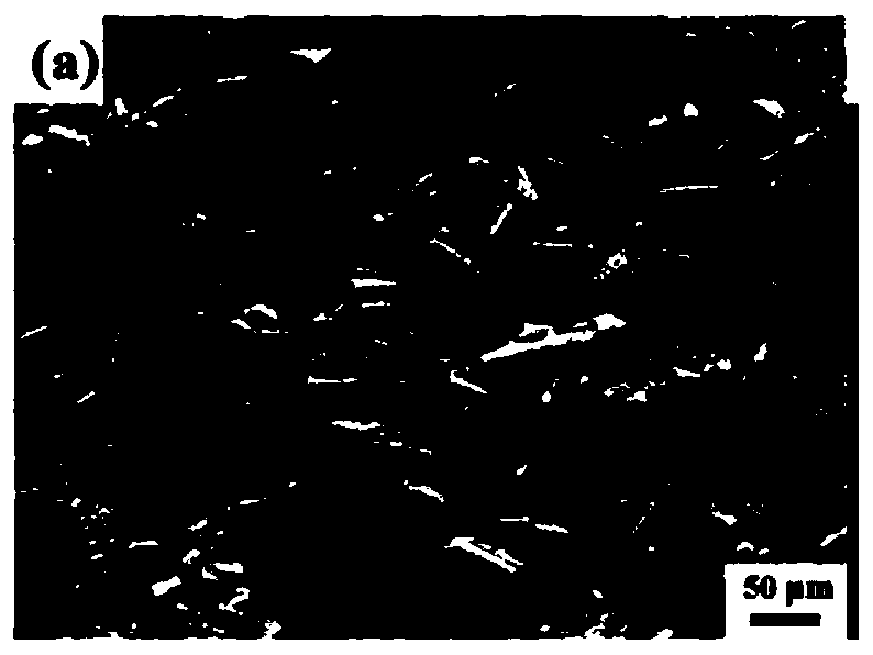 A preparation method of direct solidification injection molding of complex porous ceramics with high porosity