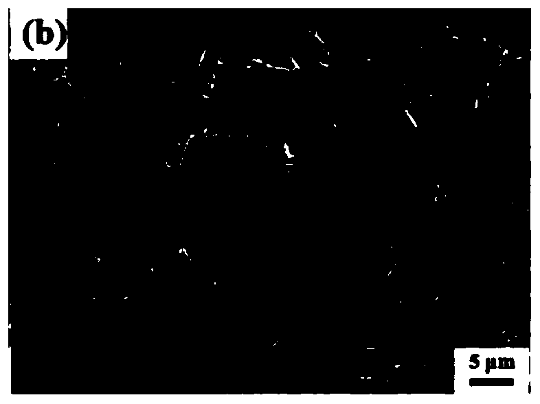 A preparation method of direct solidification injection molding of complex porous ceramics with high porosity