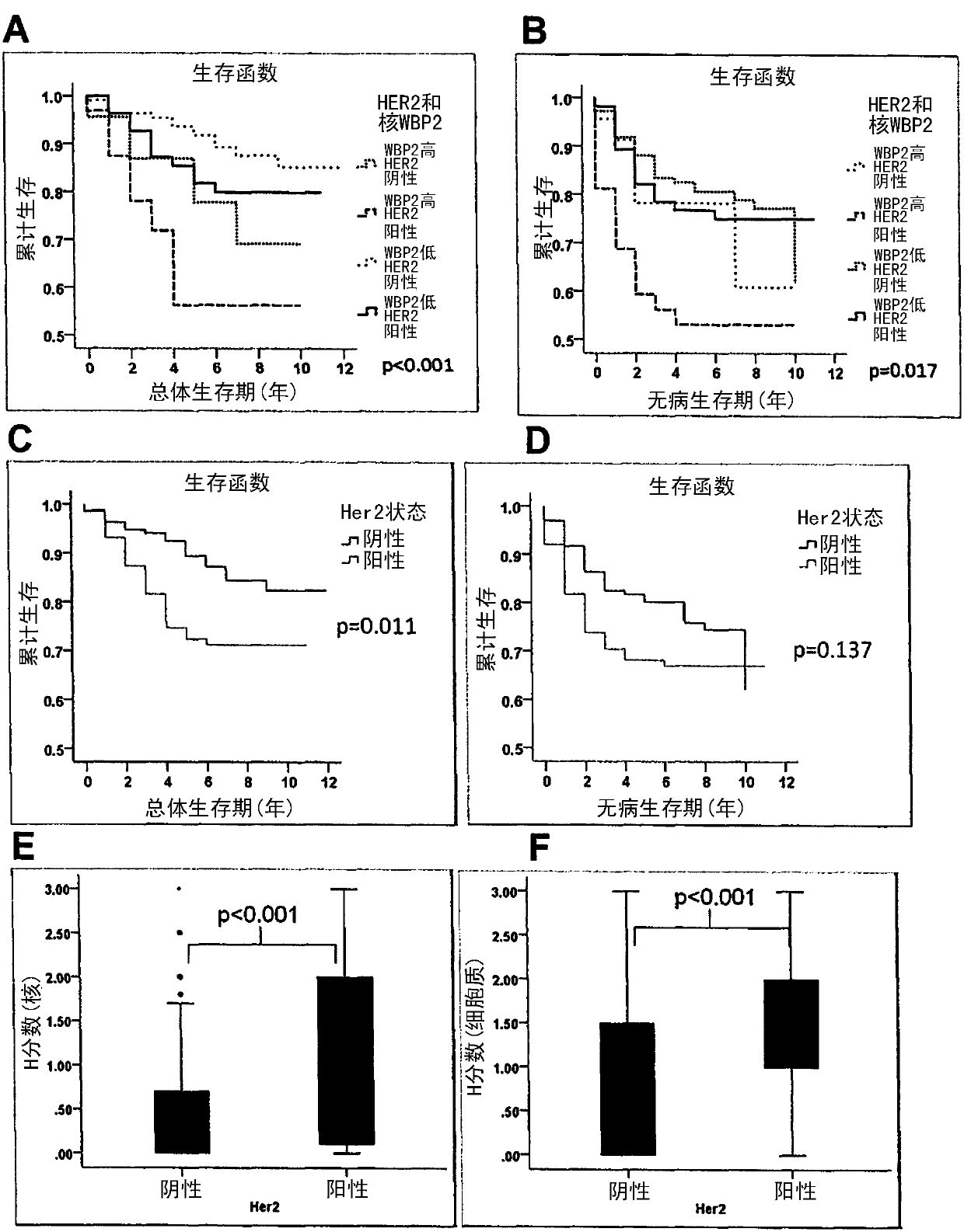 Wbp2 as a co-prognostic factor with her2 for stratification of patients for treatment