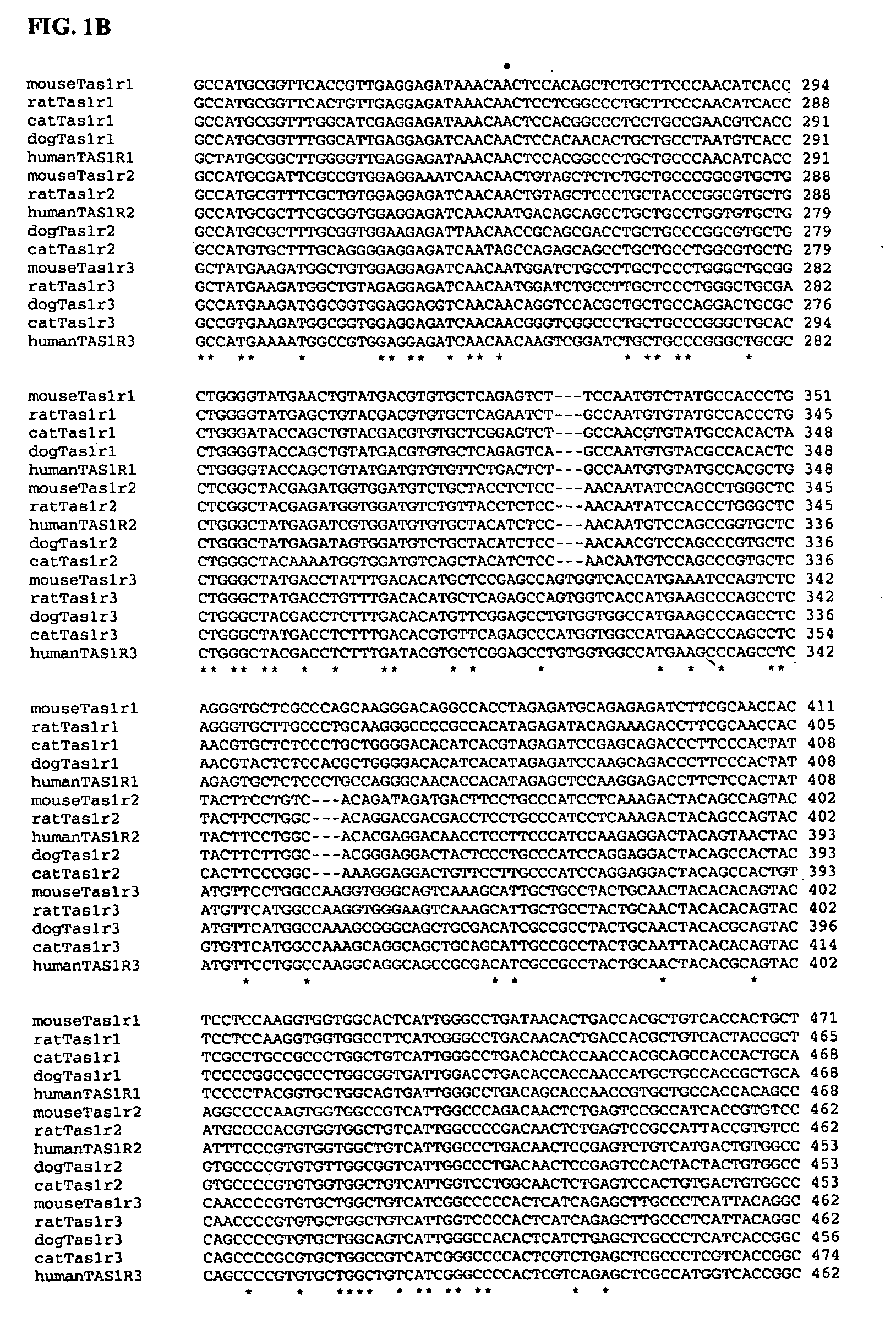 Taste Receptors Of The T1R Family From Domestic Dog