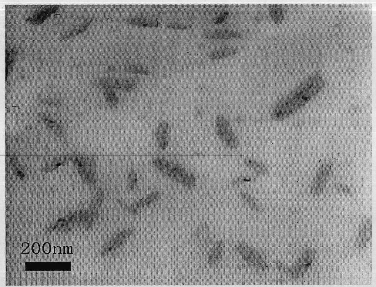 Preparation method and application of silver-containing PET based composite resin material