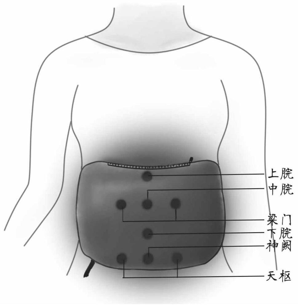 Traditional Chinese medicine composition and application thereof for treating cancer pain