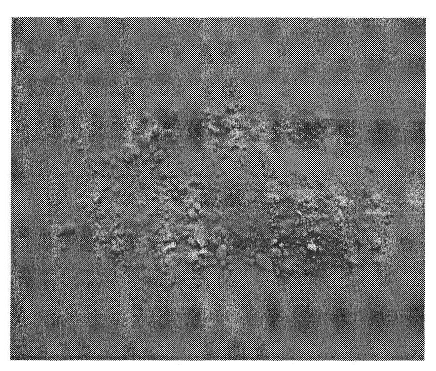 Method for recovering and removing nitrogen and phosphor in urine by ammoniomagnesium phosphate crystal method