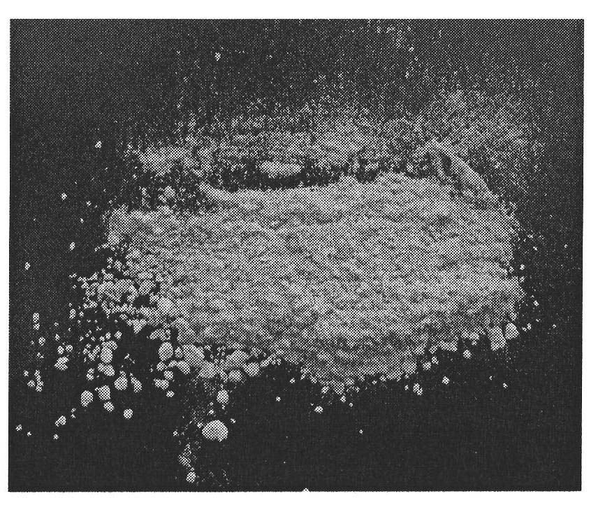 Method for recovering and removing nitrogen and phosphor in urine by ammoniomagnesium phosphate crystal method