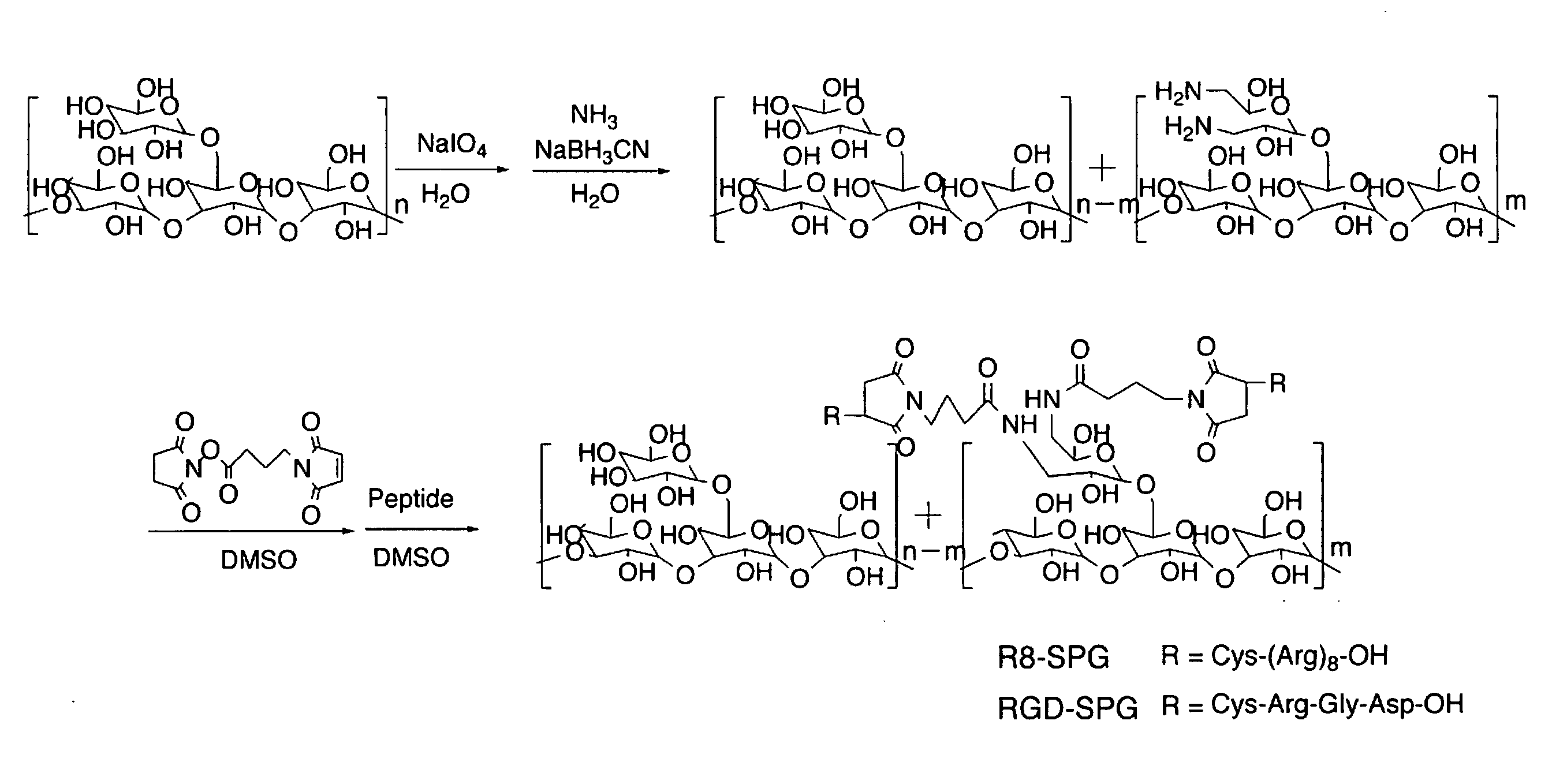 Immunostimulating Agents