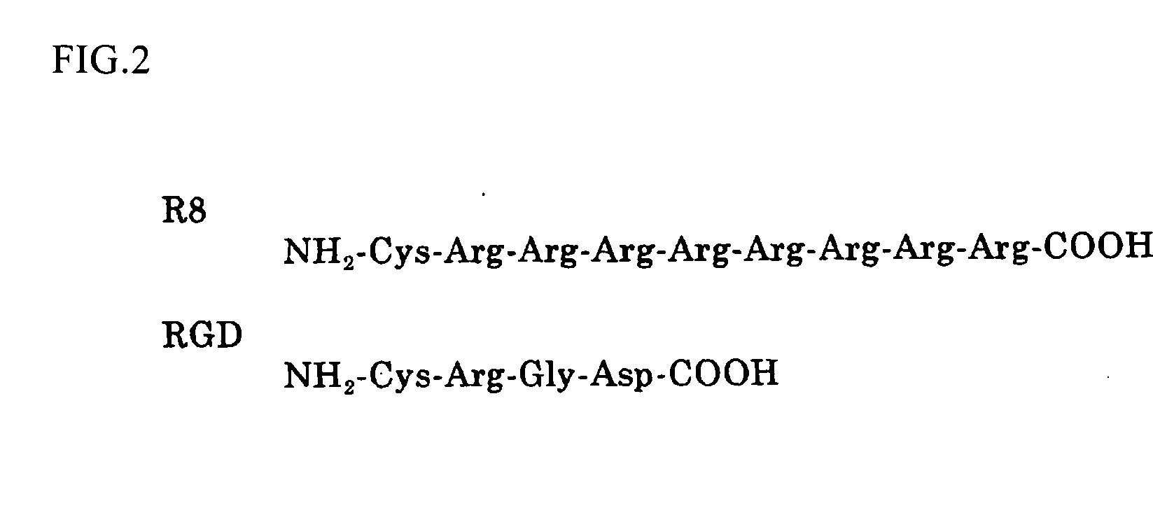 Immunostimulating Agents