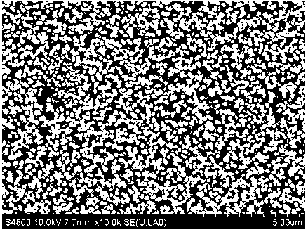 Water-solution lithium ion battery negative pole material and preparation method thereof