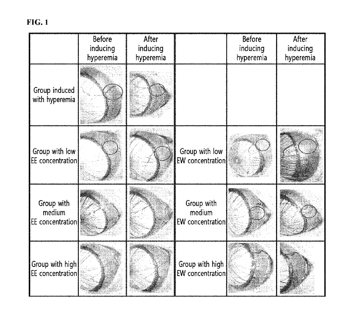 Composition for treating corneal diseases or conjunctival diseases