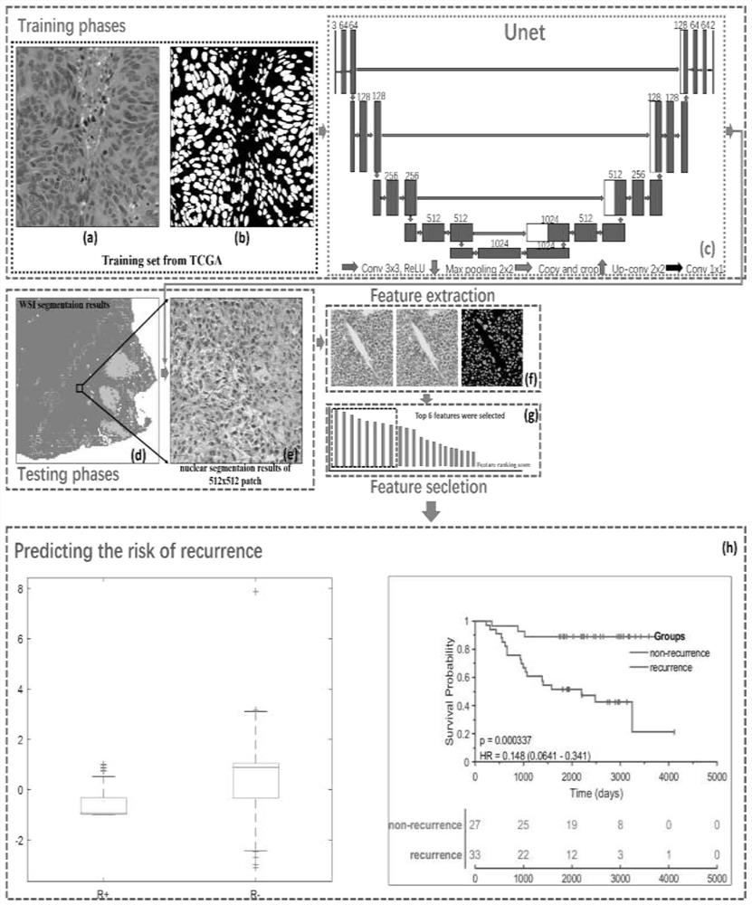 Osteosarcoma recurrence risk prediction model based on tissue morphological analysis