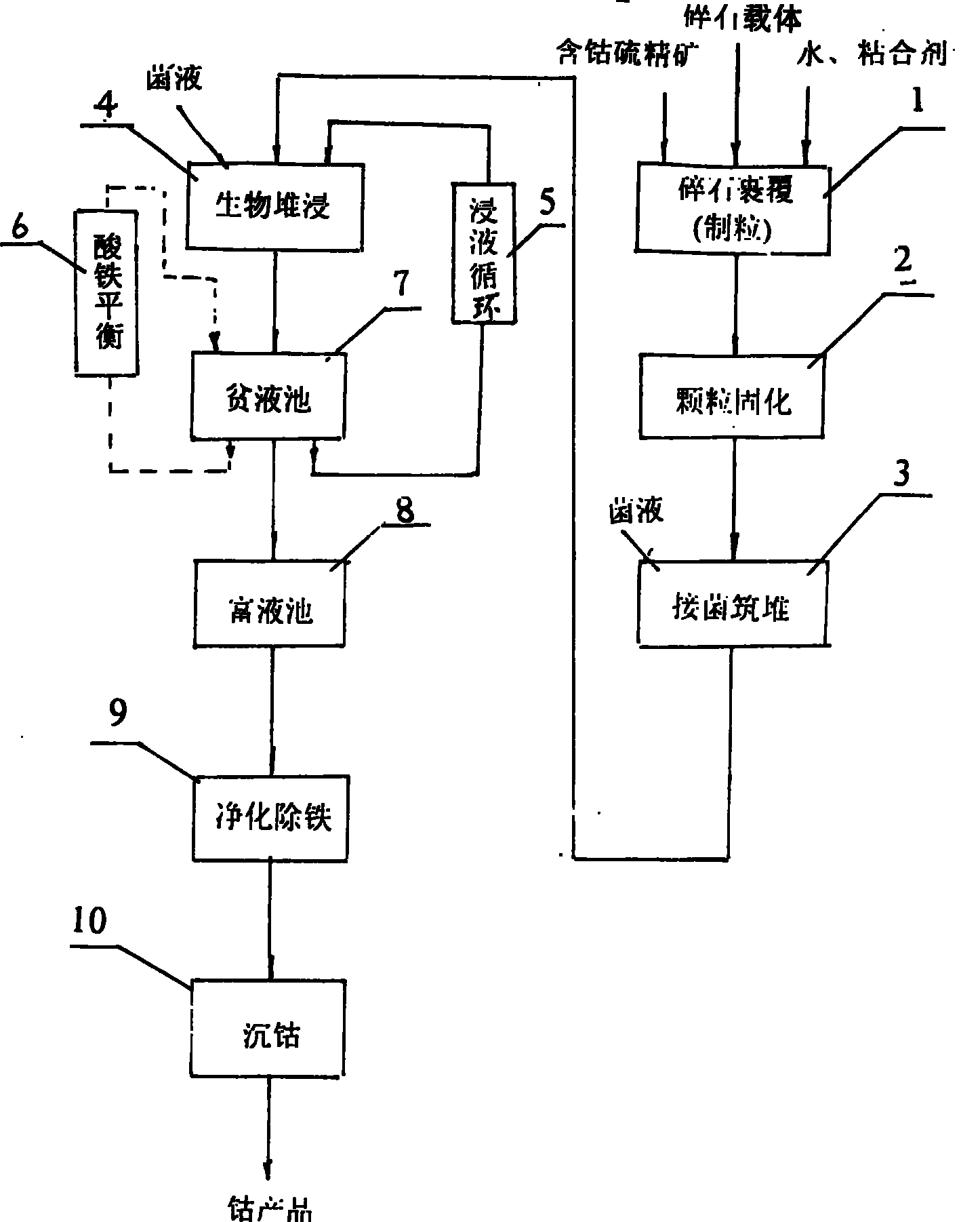 Mesophilic acidophilic bacteria and biological heap leaching technique for low-grade cobalt-containing sulfur concentrate