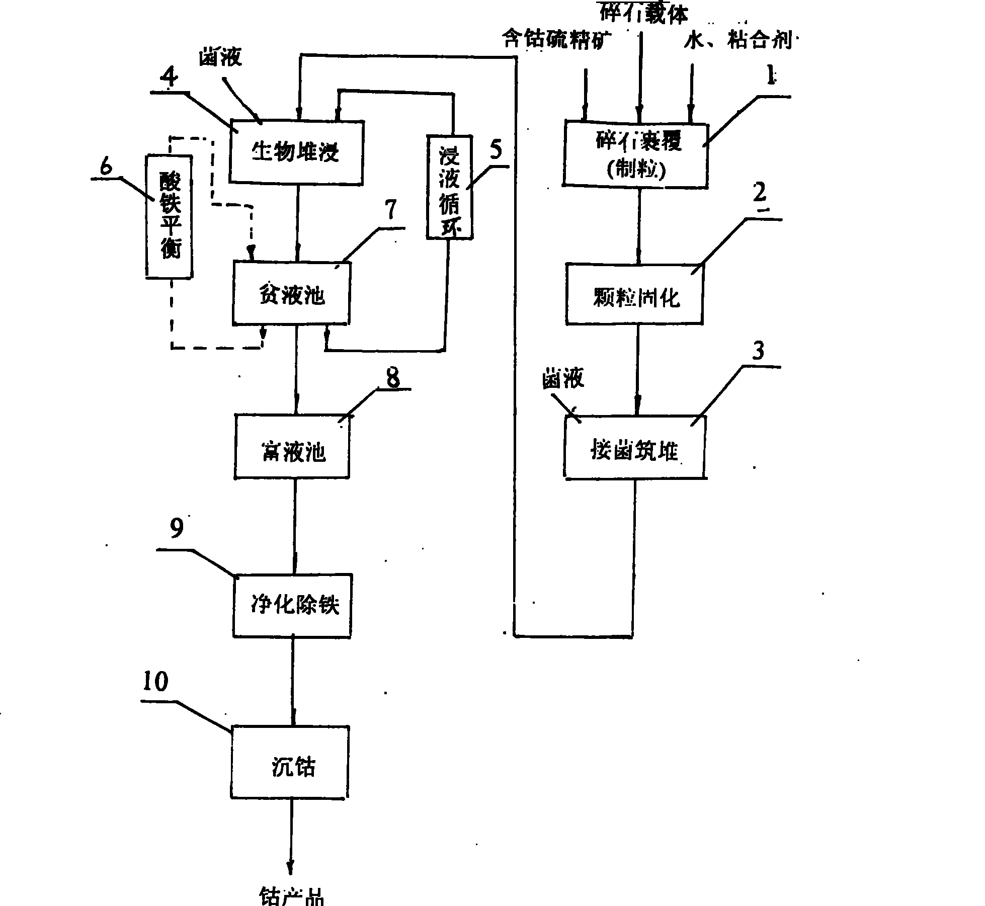 Mesophilic acidophilic bacteria and biological heap leaching technique for low-grade cobalt-containing sulfur concentrate