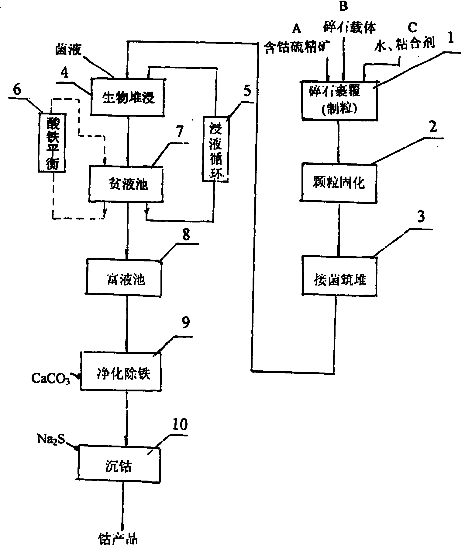 Mesophilic acidophilic bacteria and biological heap leaching technique for low-grade cobalt-containing sulfur concentrate