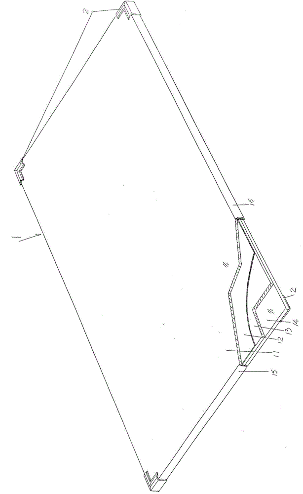 Solar photovoltaic cell assembly protected by back plate tempered glass