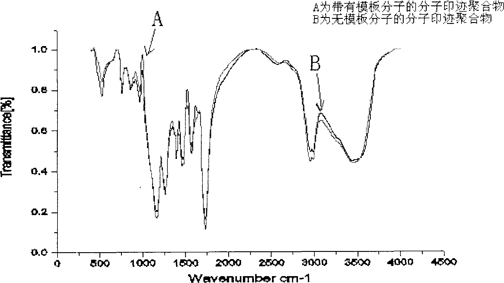 Molecular engram polymer for purifying 6-gingerol as well as preparation and uses thereof