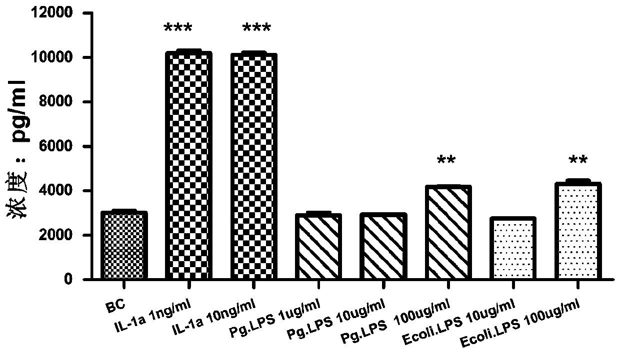 Application and method of IL-1a in establishing human gingival fibroblast oral anti-inflammatory model