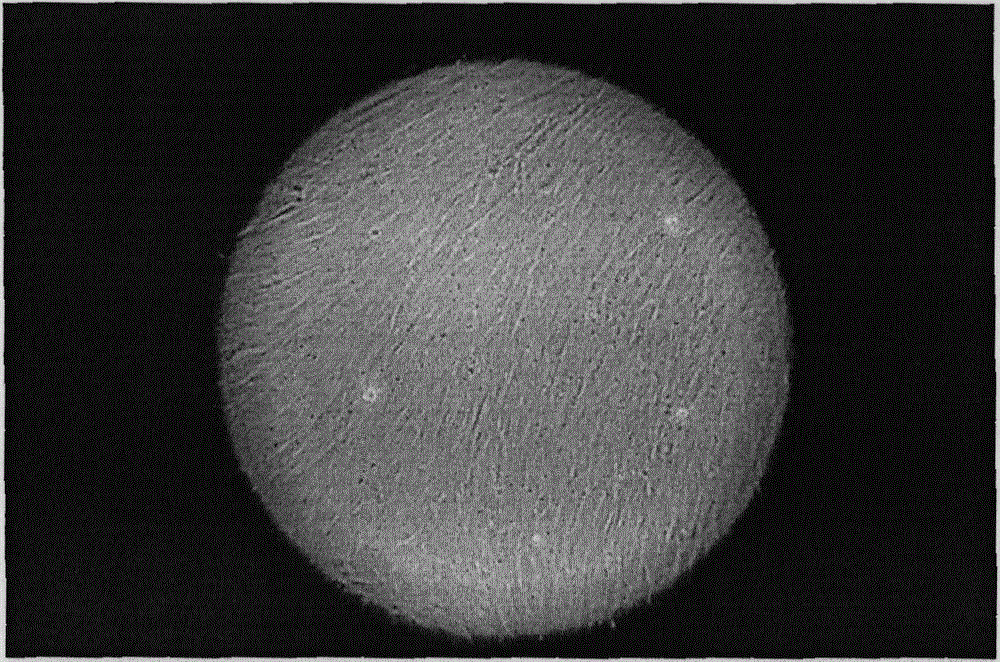 A method for separating living cells by tissue homogenate and constructing a cell bank