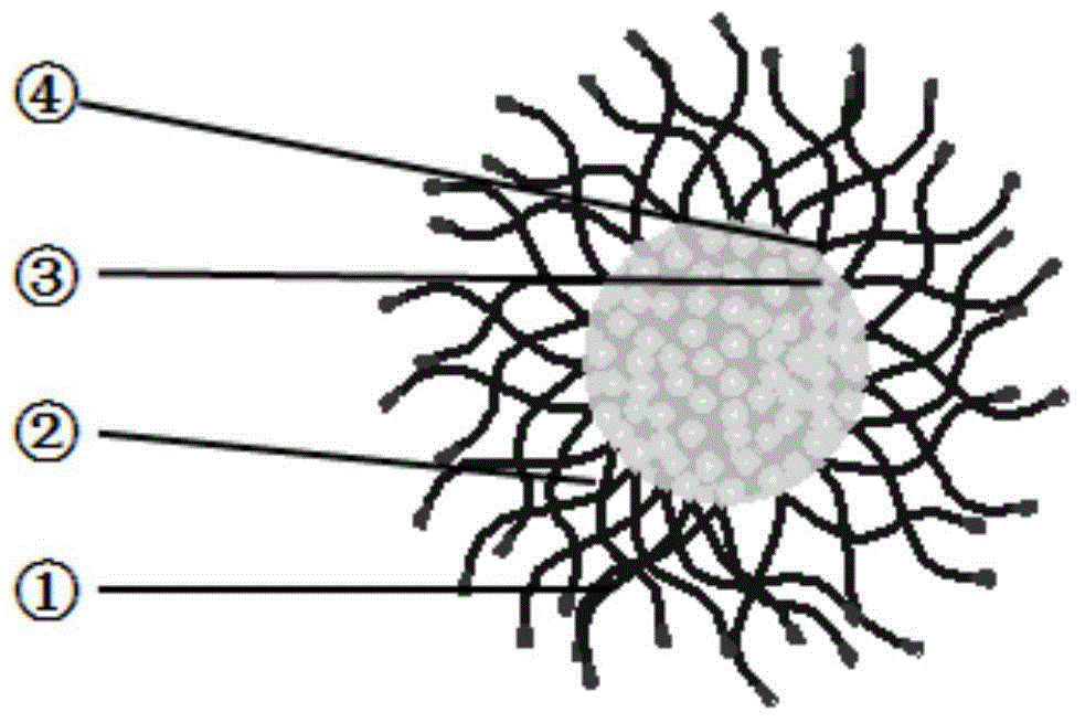 Polyacrylic acid polymer drug micelle