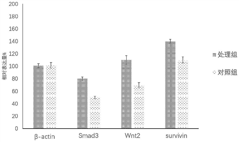 Composition containing mesenchymal stem cells and exosomes and application of composition to tissue repair