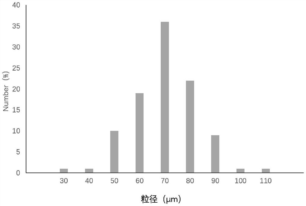 Composition containing mesenchymal stem cells and exosomes and application of composition to tissue repair