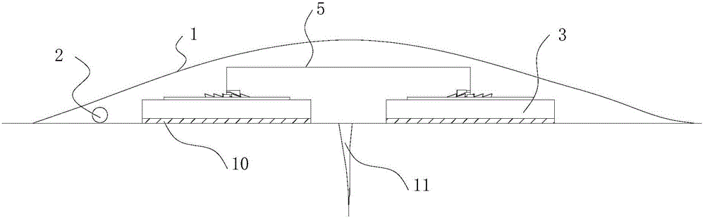 Auxiliary skin wound healing device