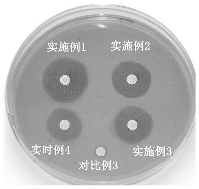 Antibacterial anti-loosening coating for titanium and titanium alloy implant materials