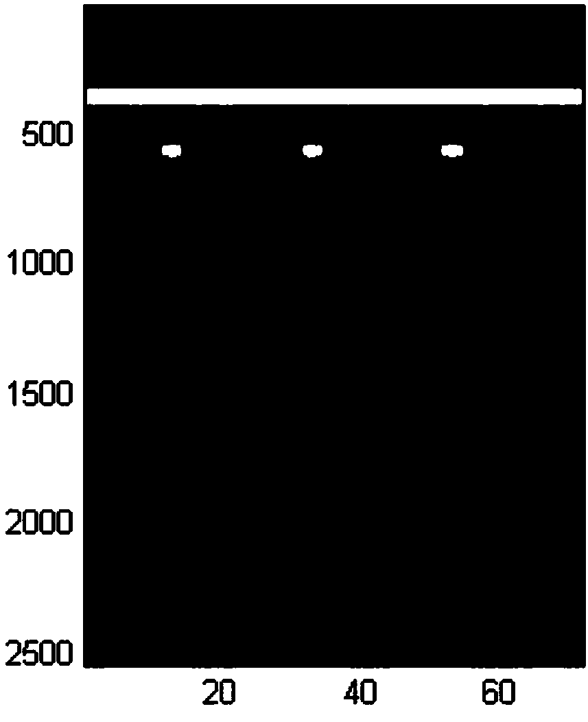 SAR-based GPR multi-layer steel mat parameter detecting method