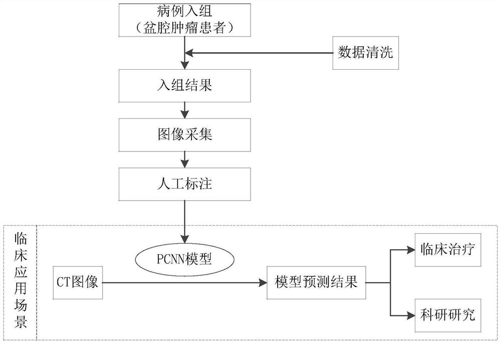 Automatic sketching method and device for lumbosacral nerve roots and storage medium