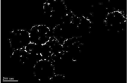 Method for preparing porous magnetic nanoclusters through etching