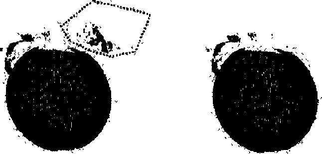 First-phase treating algorithm for color three dimension dot clowd data