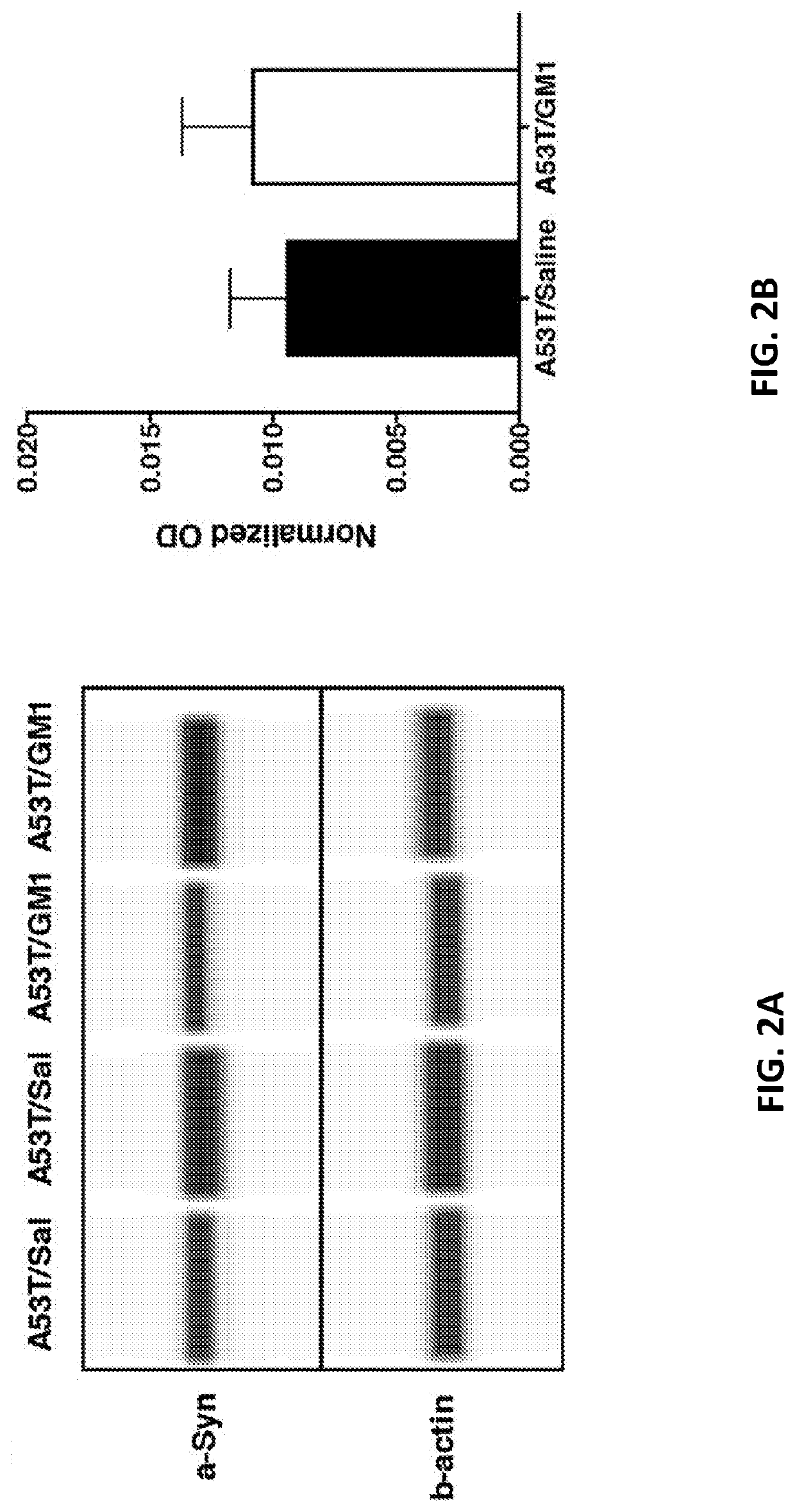 Methods for treating neurodegenerative disorders