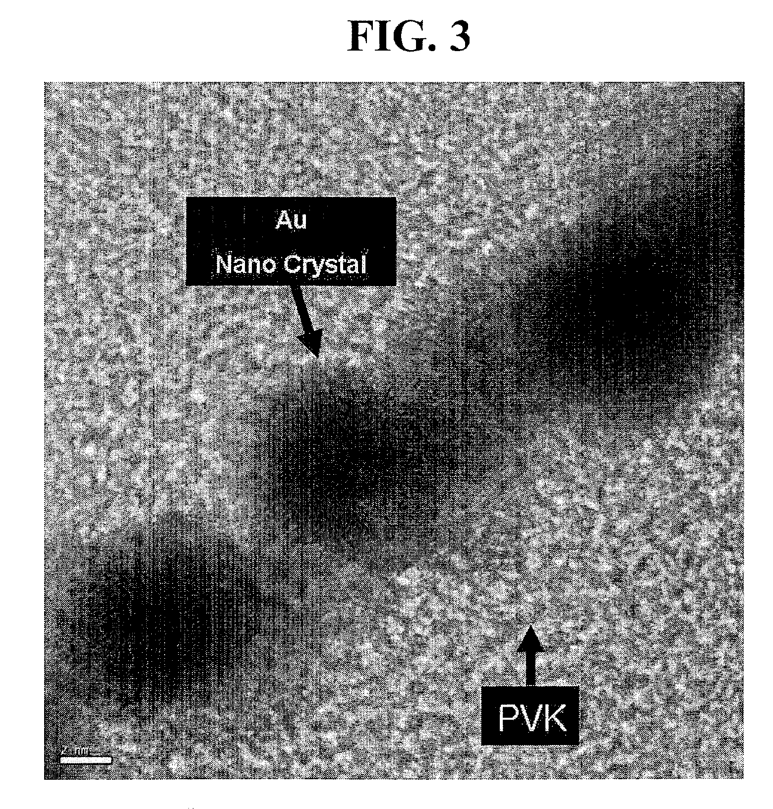 Method of manufacturing nonvolatile memory device using conductive organic polymer having nanocrystals embedded therein