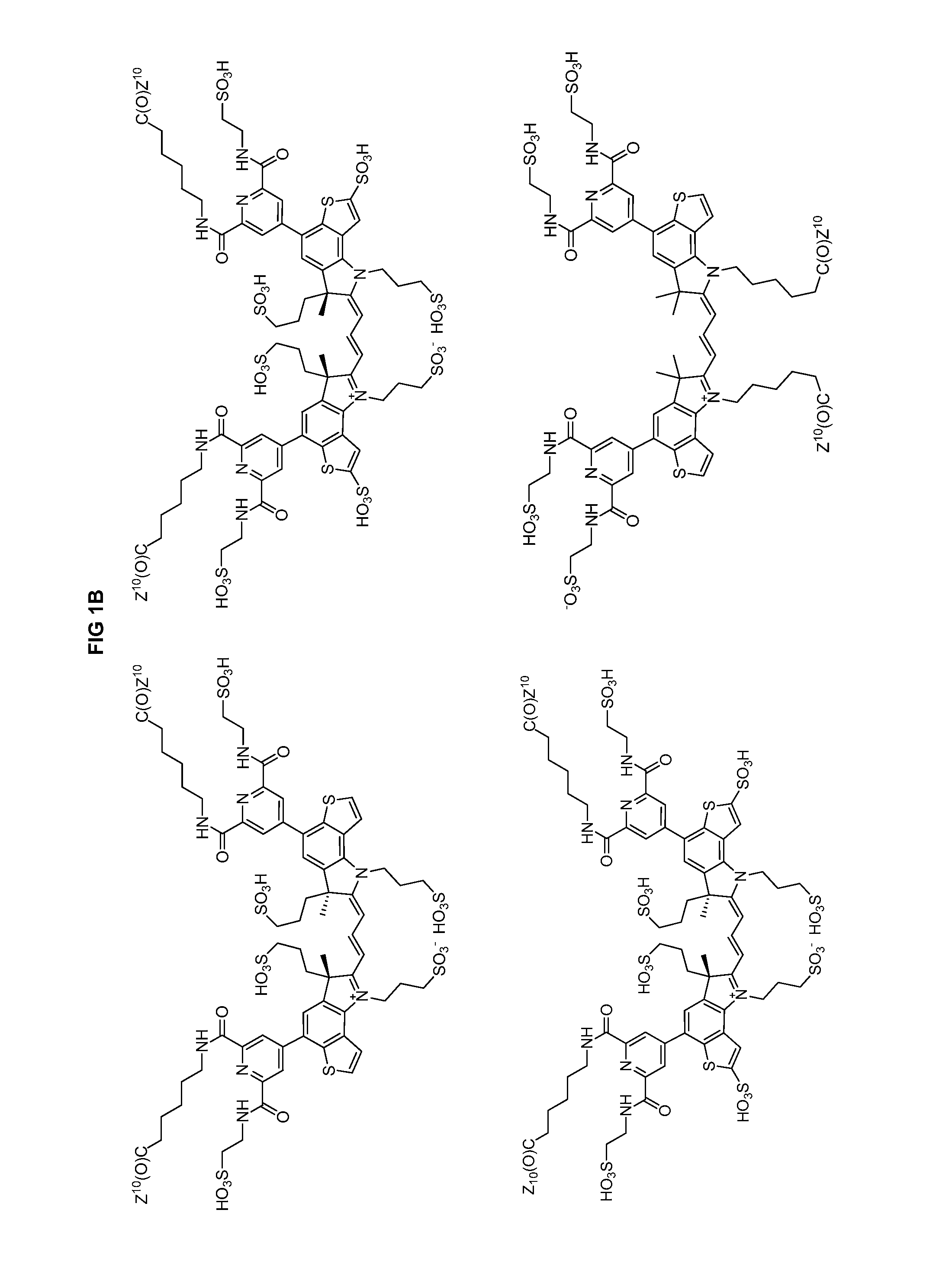 Heteroarylcyanine Dyes