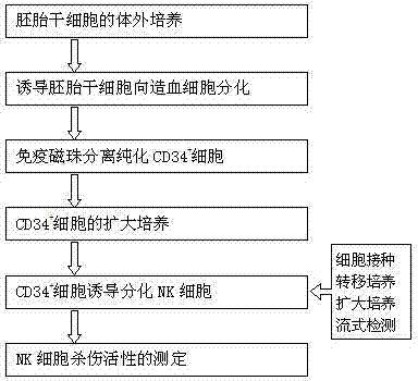 In-vitro preparation method of NK cells