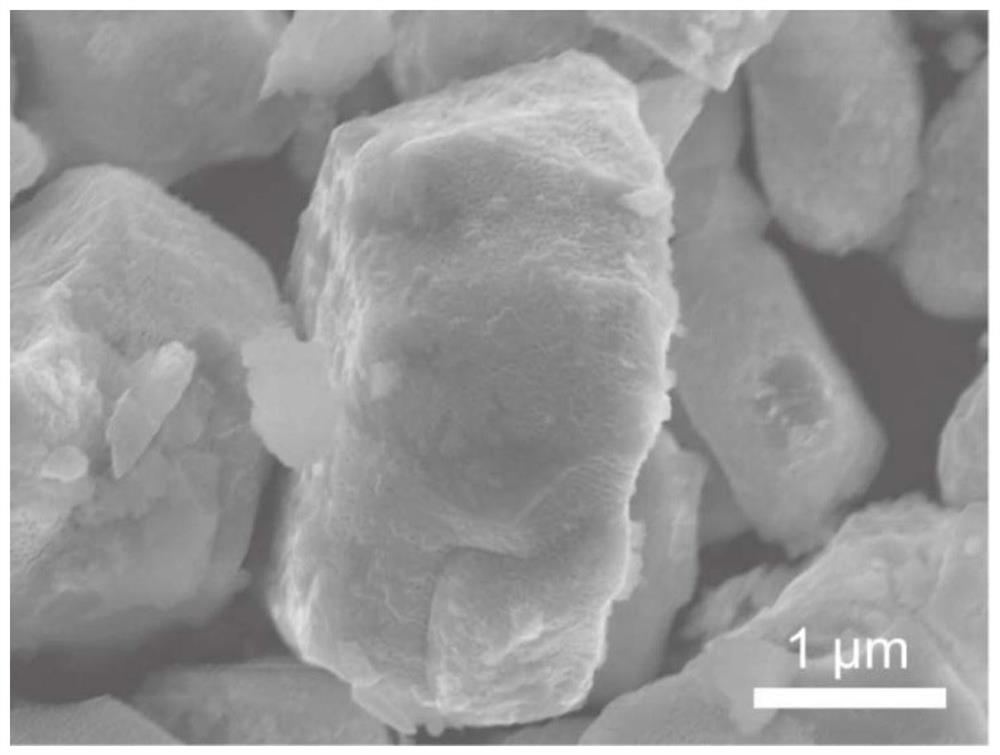 Bifunctional interface lithium ion battery nickel-rich single crystal positive electrode material and preparation method thereof