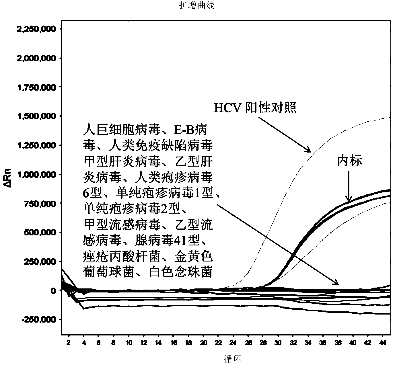 Multi-color fluorescent PCR detection kit for nucleic acid testing and genetic typing of hepatitis c virus and application