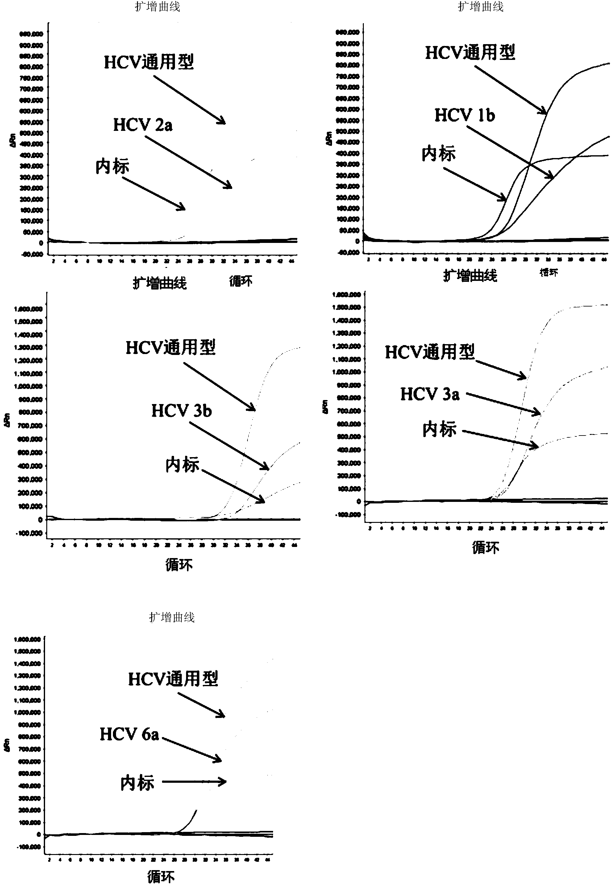 Multi-color fluorescent PCR detection kit for nucleic acid testing and genetic typing of hepatitis c virus and application