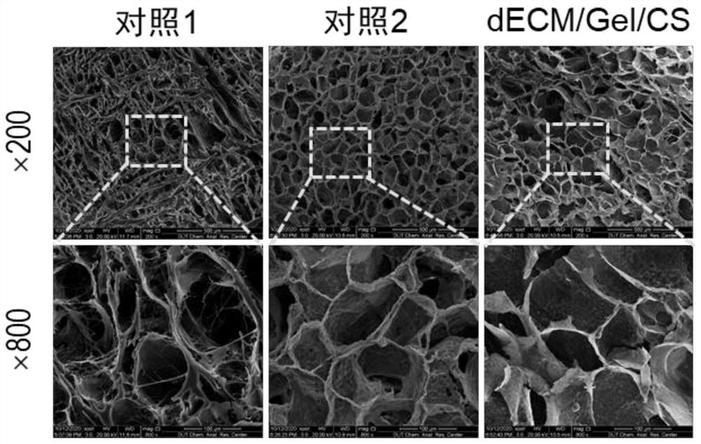 Derivative scaffold based on skin-derived acellular matrix and construction method ofderivative scaffold